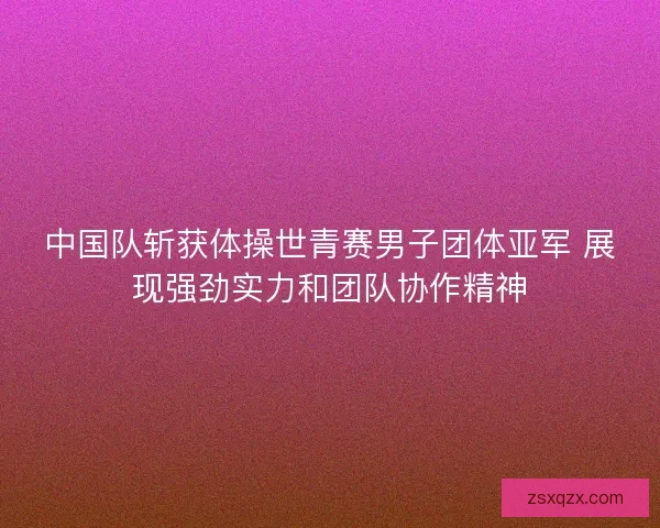 中国队斩获体操世青赛男子团体亚军 展现强劲实力和团队协作精神